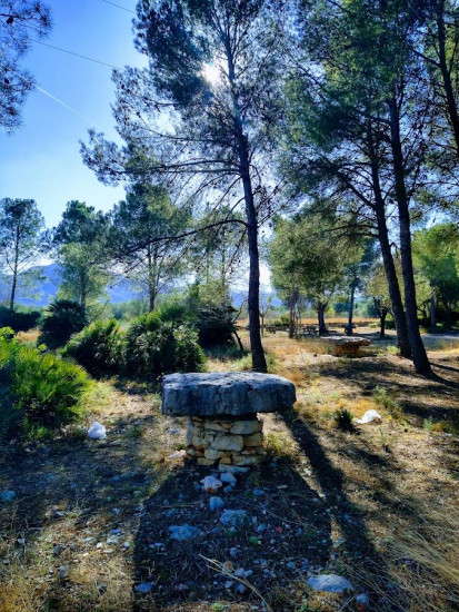 Sant Vicent